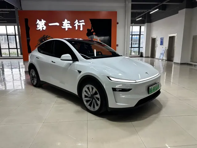 Tesla Model Y — Фото автомобиля 2