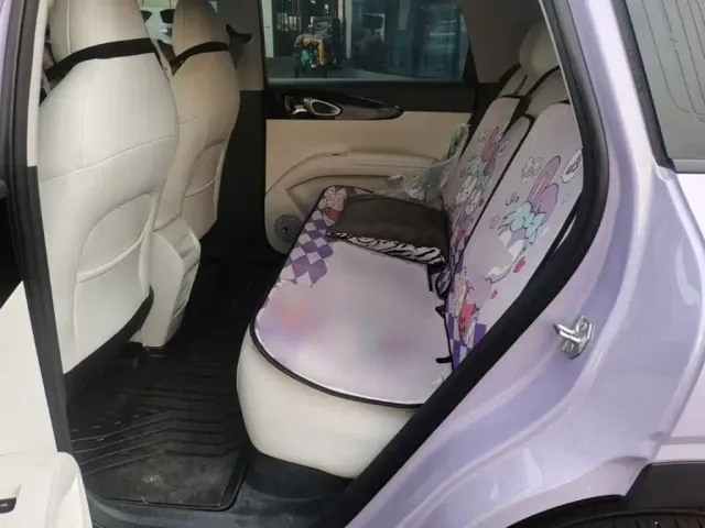 Geely Starry Wish — Фото автомобиля 16