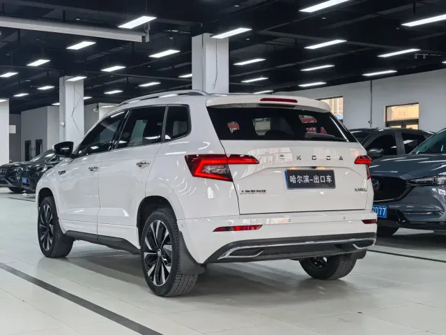 Skoda Karoq — Фото автомобиля 20