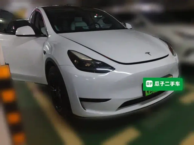Tesla Model Y — Фото автомобиля 3