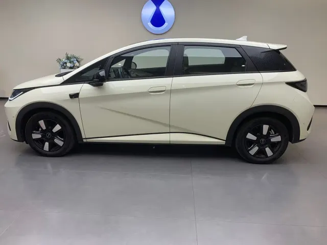 BYD Dolphin — Фото автомобиля 3