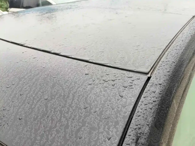 GAC Trumpchi Xiangwang S9 — Фото автомобиля 6
