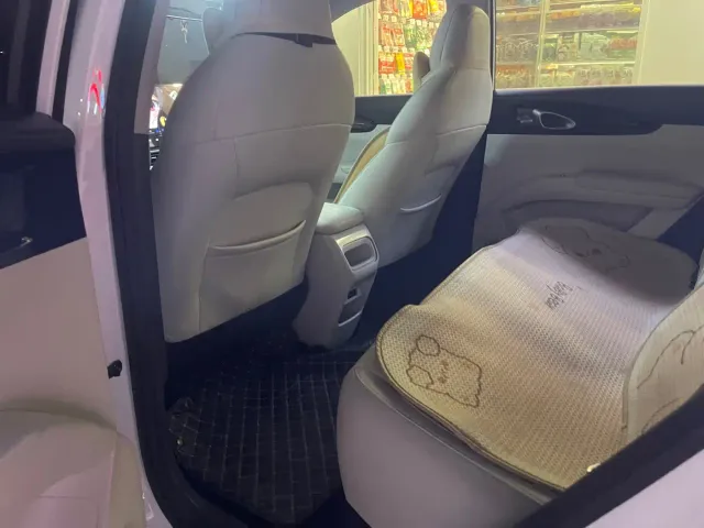 Geely Starry Wish — Фото автомобиля 6
