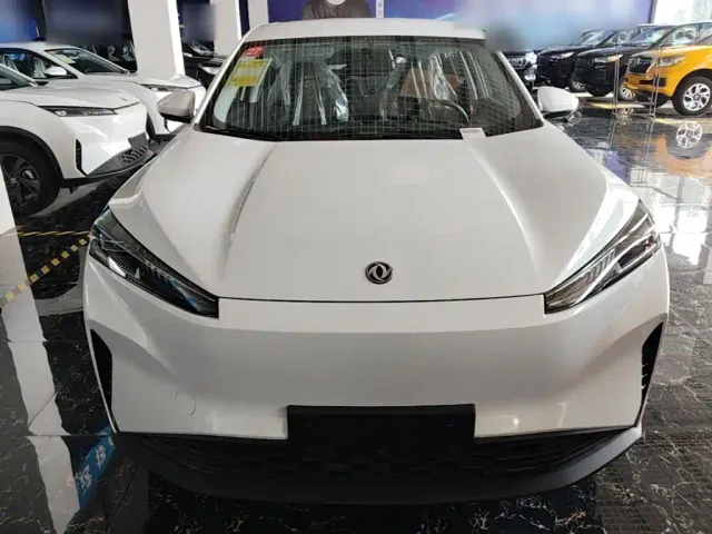 Dongfeng SKY EV01 — Фото автомобиля 2