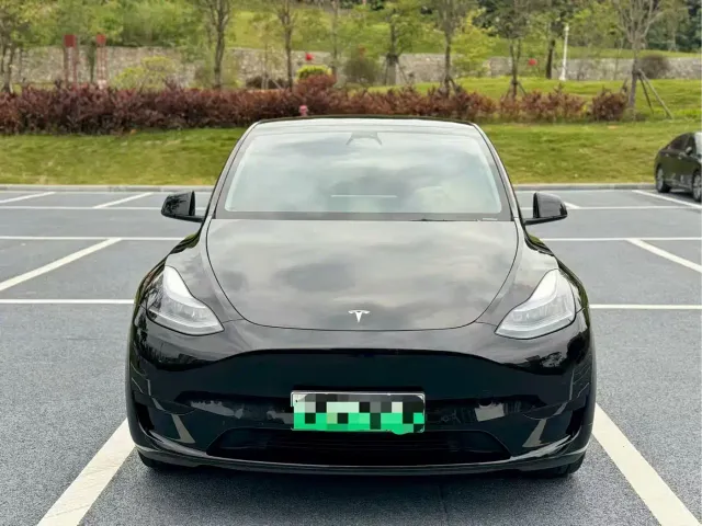Tesla Model Y — Фото автомобиля 2