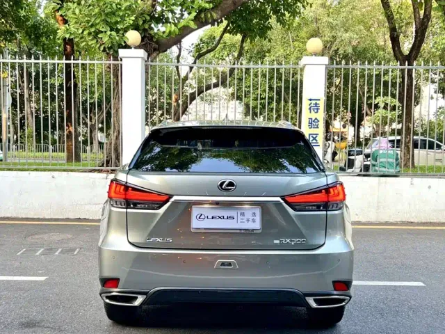 Lexus RX — Фото автомобиля 8