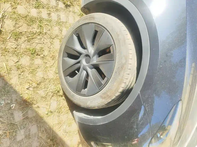 Tesla Model Y — Фото автомобиля 6