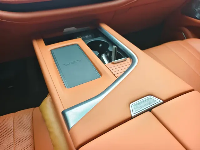Wey Lanshan — Фото автомобиля 15