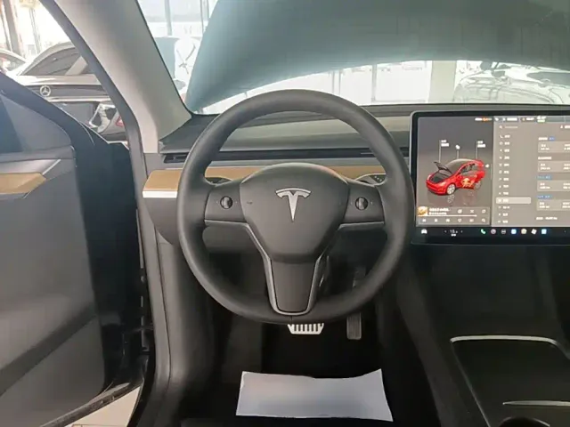 Tesla Model Y — Фото автомобиля 10