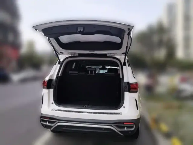 Changan Oshan Cosmos Pro — Фото автомобиля 15