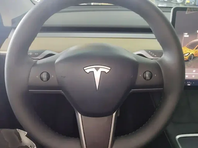 Tesla Model Y — Фото автомобиля 10