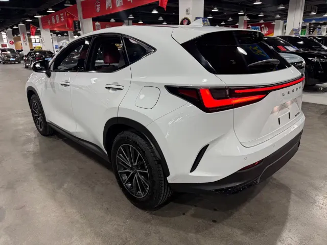 Lexus NX — Фото автомобиля 9