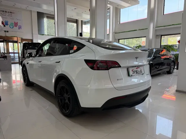 Tesla Model Y — Фото автомобиля 11