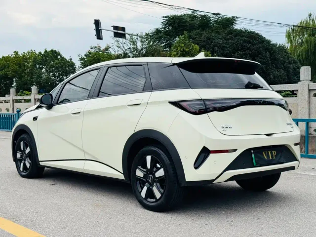 BYD Dolphin — Фото автомобиля 3