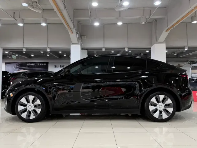 Tesla Model Y — Фото автомобиля 5