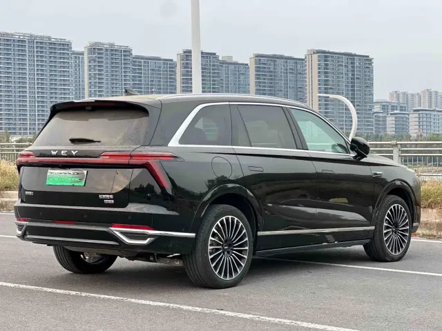 Wey Lanshan — Фото автомобиля 7