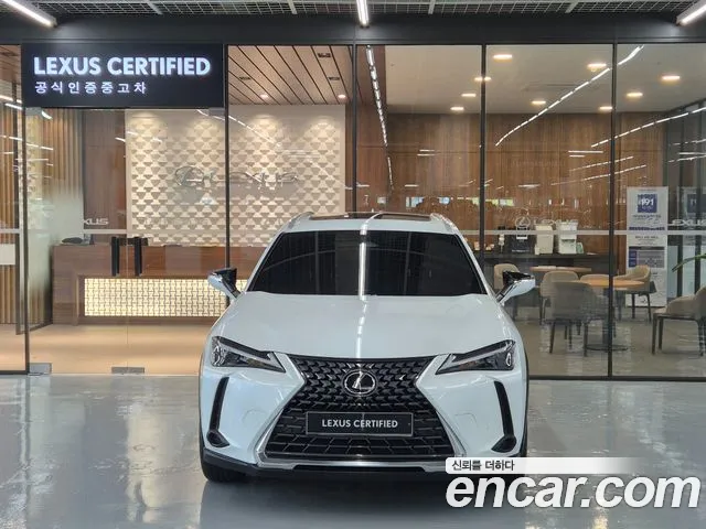 Lexus UX UX300h — Фото автомобиля 3