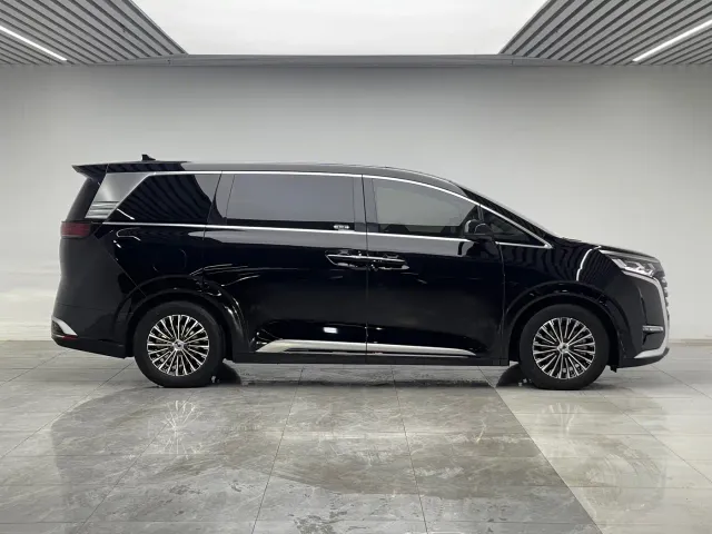 Denza Denza D9 2024 DM-i 1050 Premium — Фото автомобиля 8