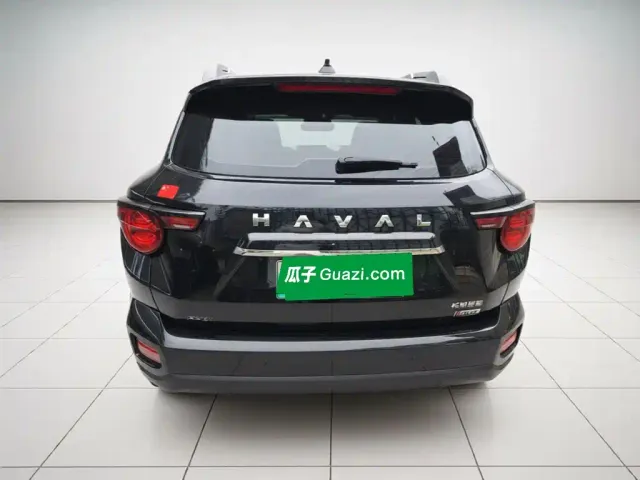 Haval Big Dog — Фото автомобиля 3
