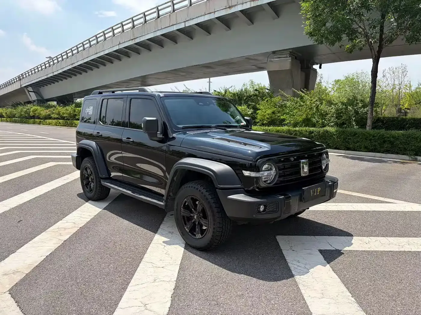 Tank Tank 300 2021 Off-road Version 2.0T Conqueror — Фото автомобиля 3