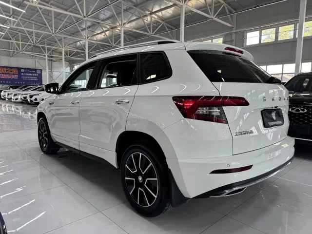 Skoda Karoq — Фото автомобиля 6
