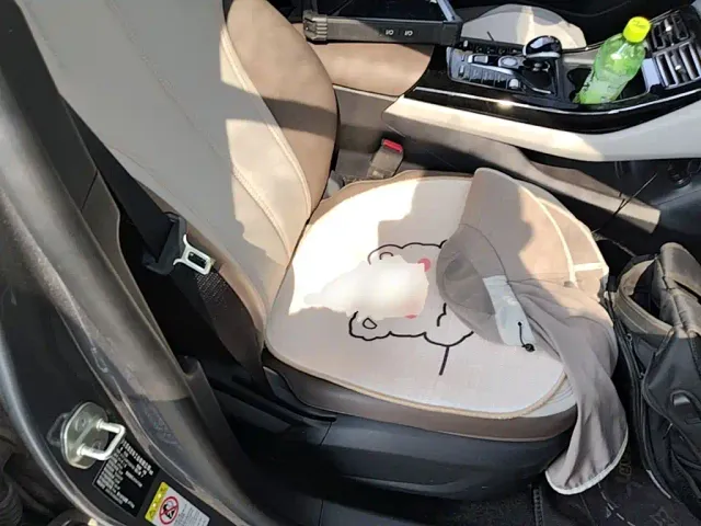 BYD Qin PLUS — Фото автомобиля 24