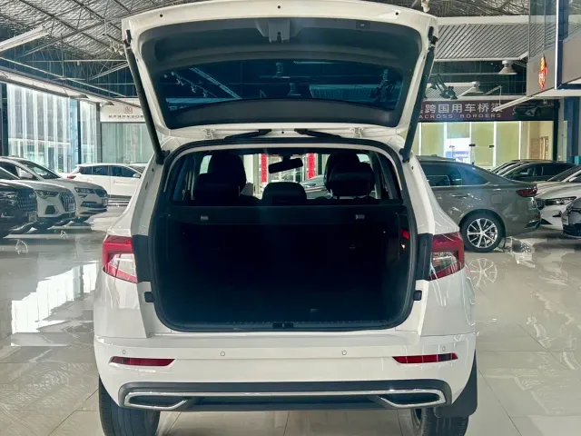 Skoda Karoq — Фото автомобиля 8