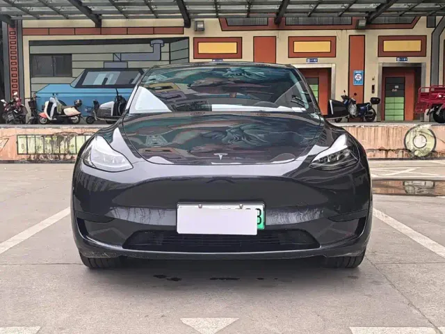 Tesla Model Y — Фото автомобиля 2
