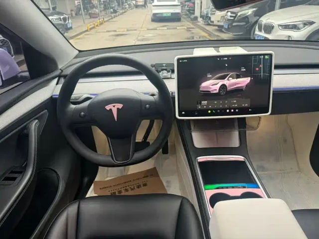 Tesla Model Y — Фото автомобиля 9