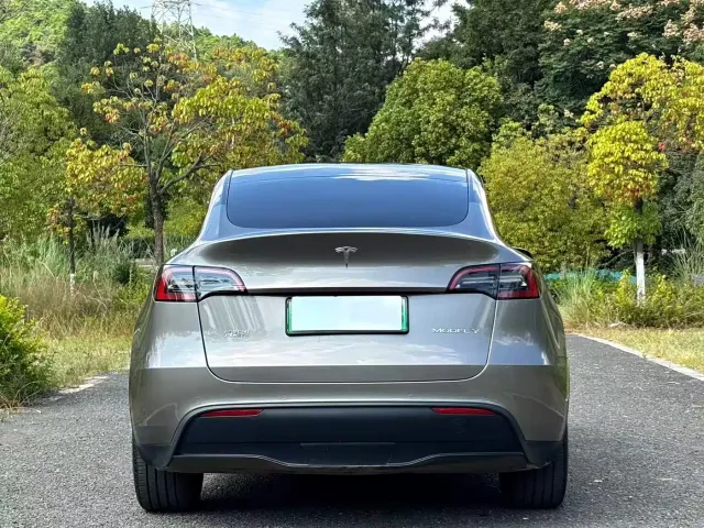 Tesla Model Y — Фото автомобиля 5