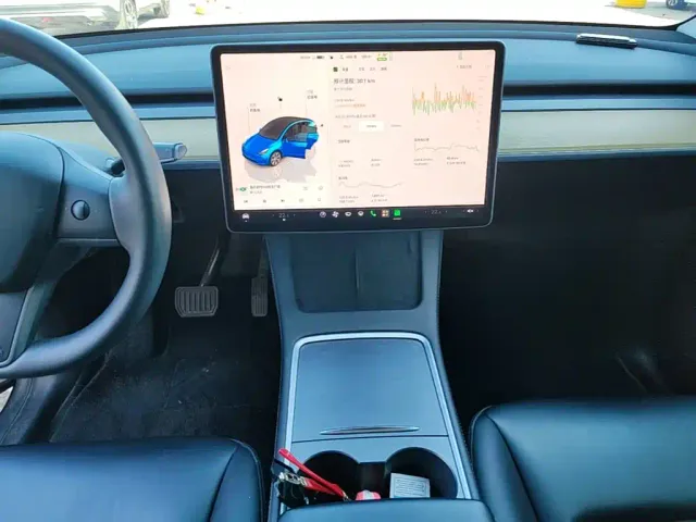 Tesla Model Y — Фото автомобиля 12