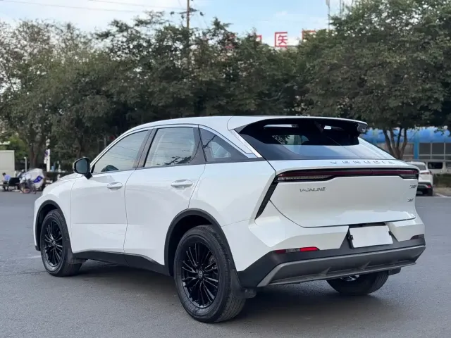 Venucia Venucia Big V 2022 260T Dark Horse Edition·Idol — Фото автомобиля 12