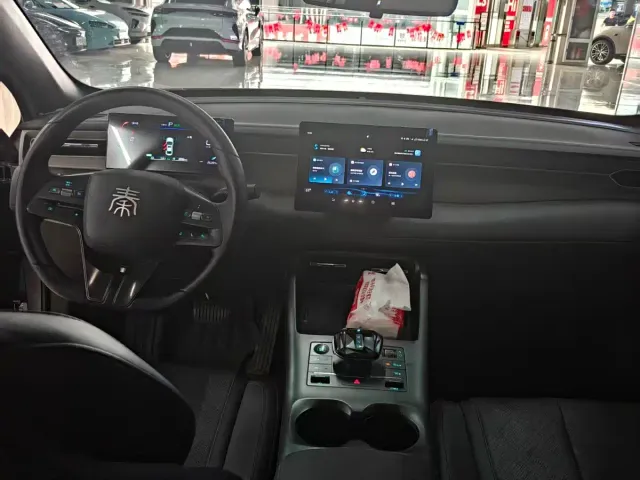 BYD Qin PLUS — Фото автомобиля 8