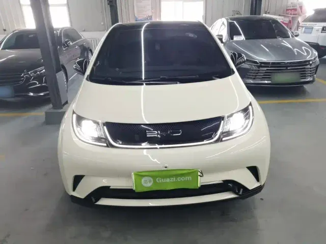 BYD Dolphin — Фото автомобиля 2