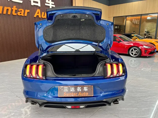 Ford Mustang — Фото автомобиля 26