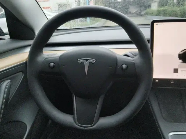 Tesla Model 3 — Фото автомобиля 11