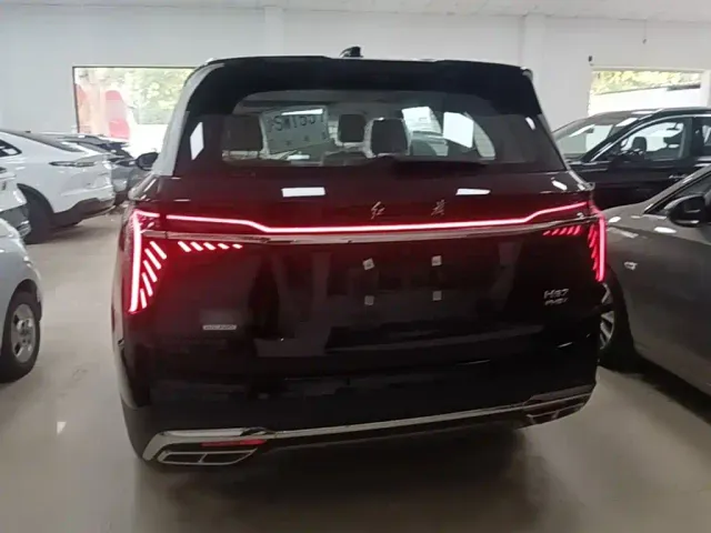 Hongqi HS7 PHEV — Фото автомобиля 5
