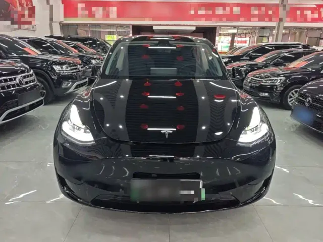 Tesla Model Y — Фото автомобиля 2