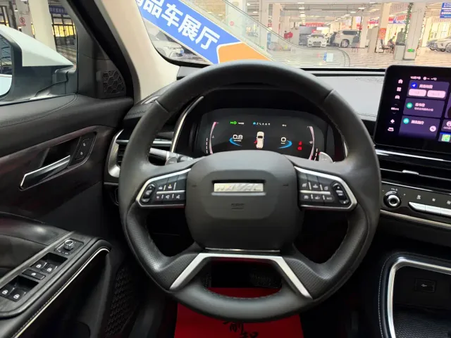 Haval H6 — Фото автомобиля 11