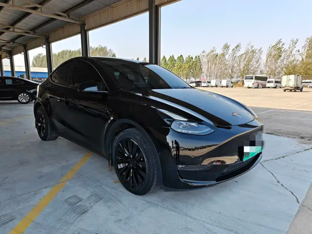 Tesla Model Y — Фото автомобиля 3