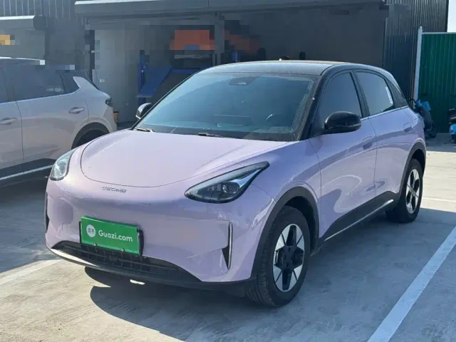 Фотография автомобиля — Geely Starry Wish