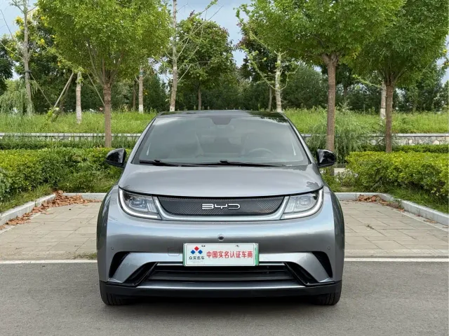 BYD Dolphin — Фото автомобиля 2