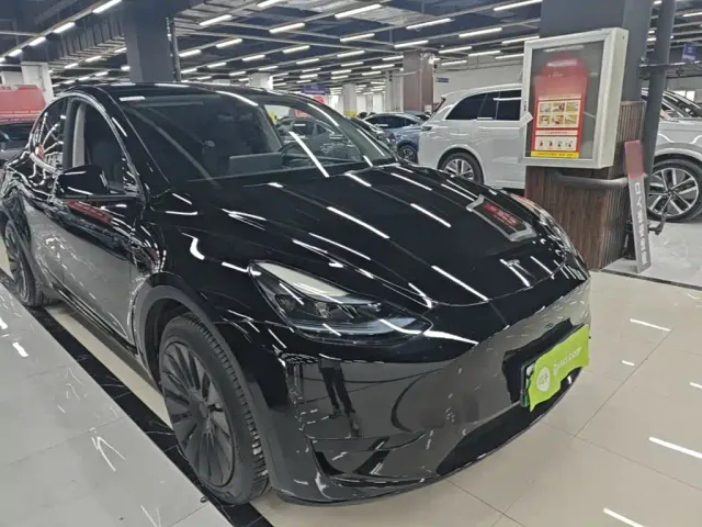Tesla Model Y — Фото автомобиля 3