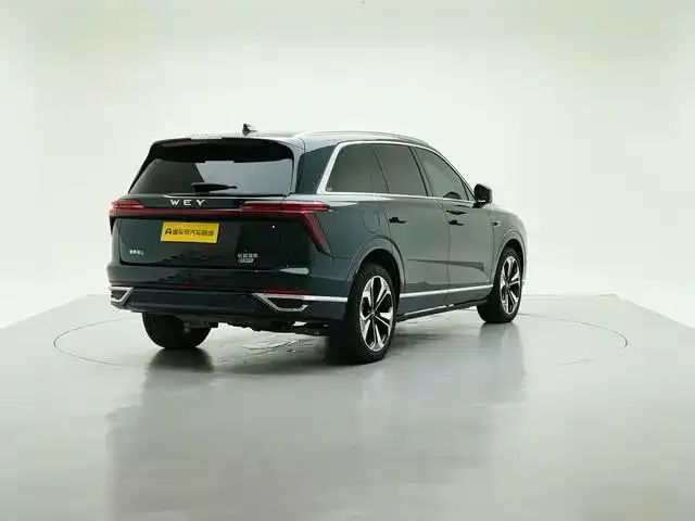Wey Lanshan — Фото автомобиля 3