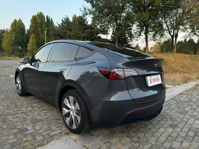 Tesla Model Y — Фото автомобиля 21