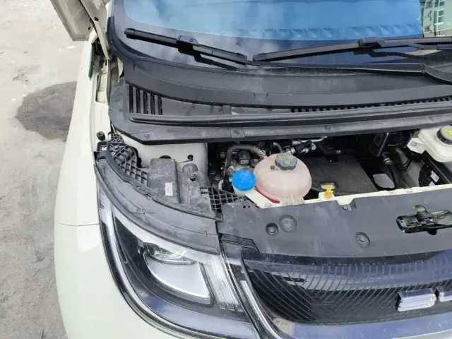 BYD Dolphin — Фото автомобиля 21