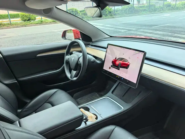 Tesla Model 3 — Фото автомобиля 8