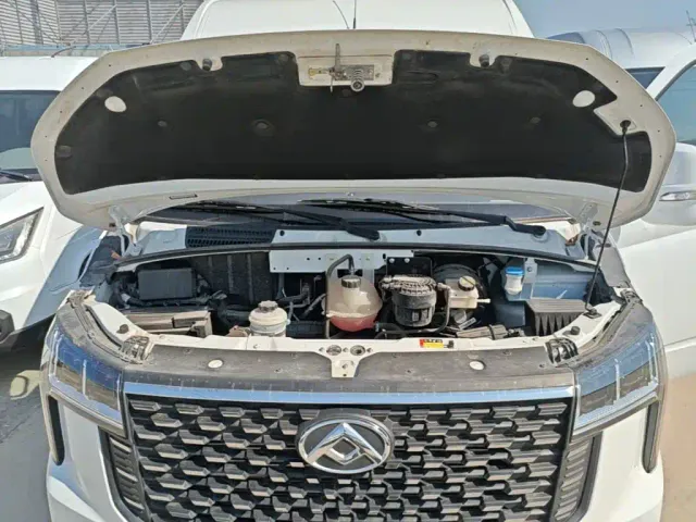 Maxus Xintu V80 — Фото автомобиля 19