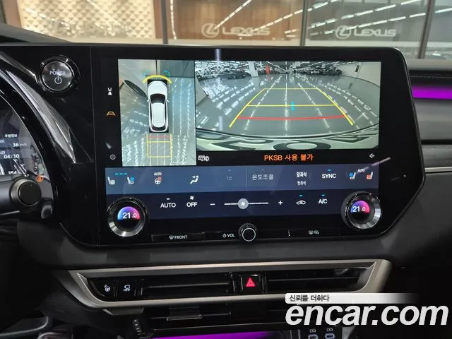 Lexus RX — Фото автомобиля 15