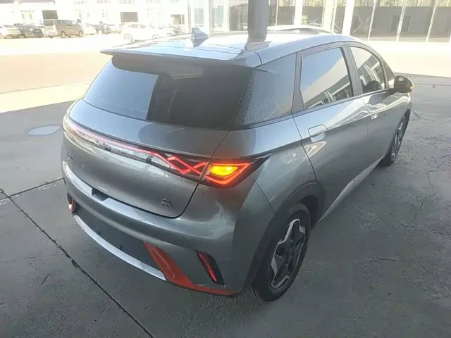 BYD Dolphin — Фото автомобиля 6